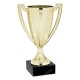 Trofeo Copa Participación Oro