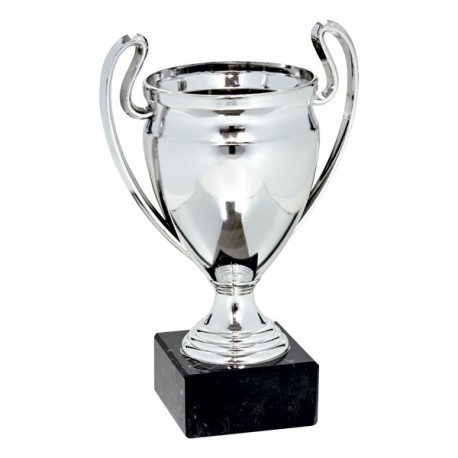 Trofeo Copa Europa