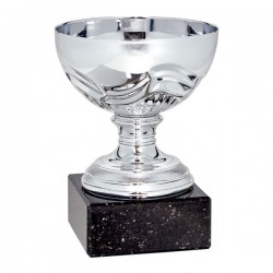 Trofeo Copa Redonda Ondas