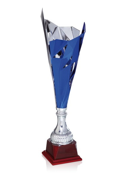 Trofeo Copa Azul y Plata