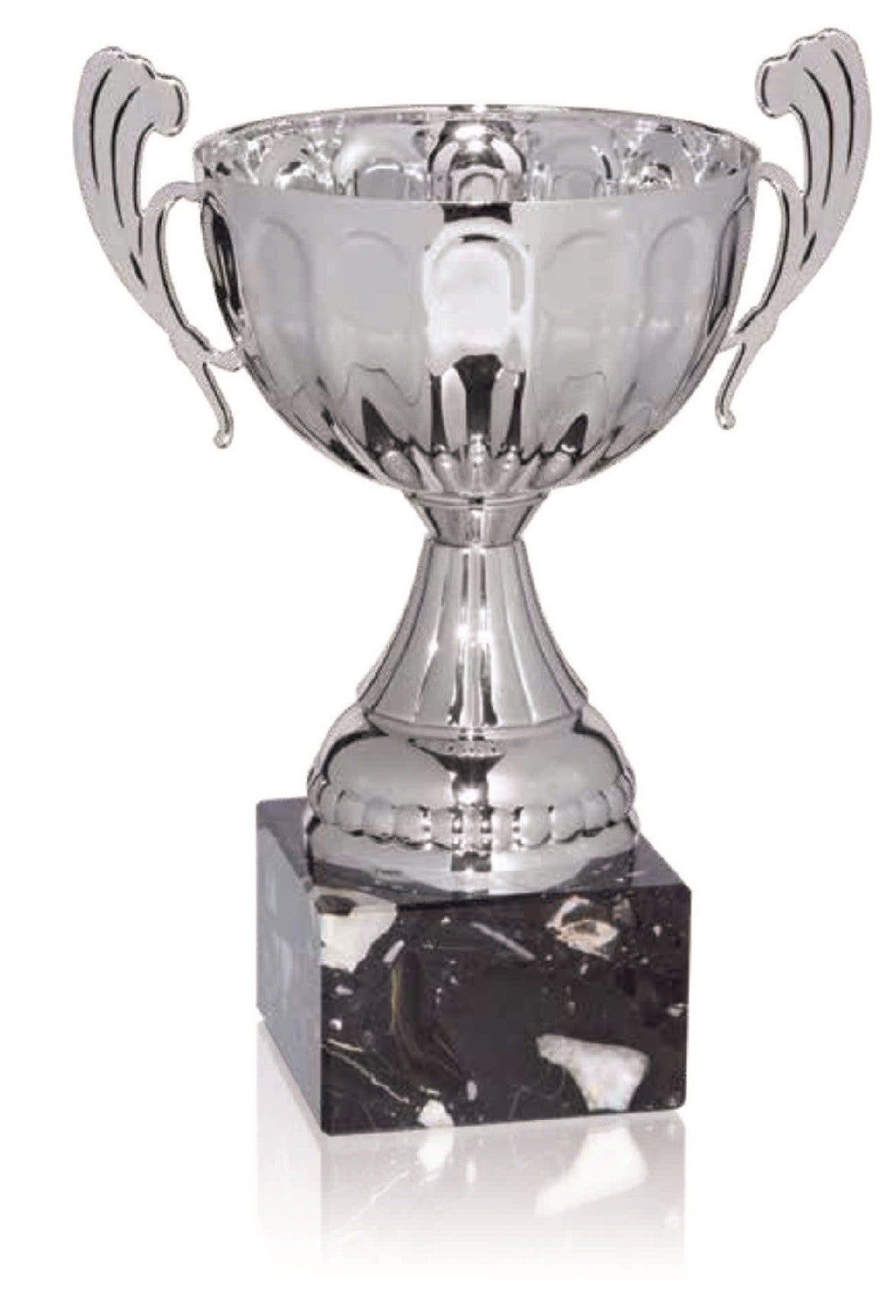 Trofeo Copa Plata Campeón
