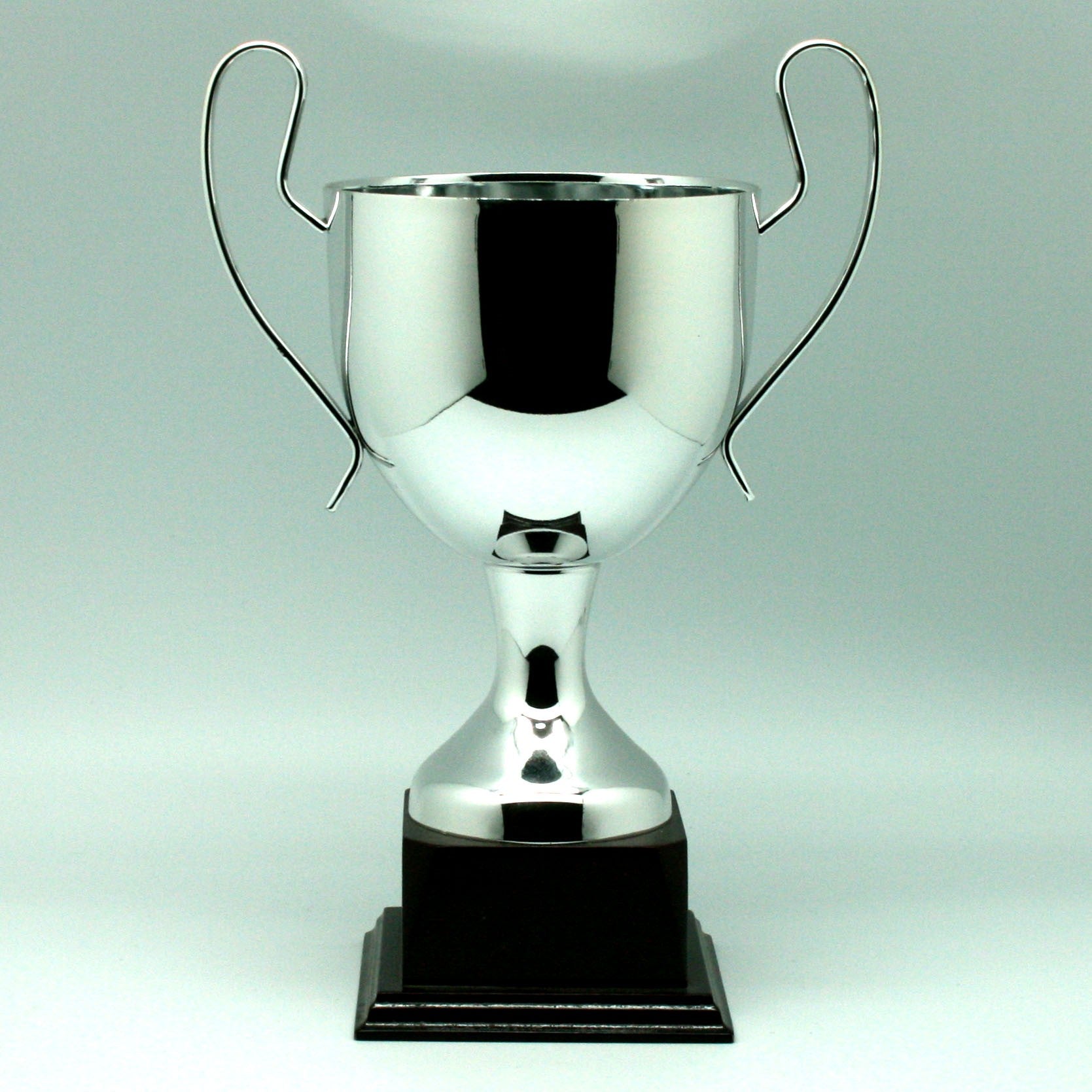 Trofeo Copa Campeón Simple