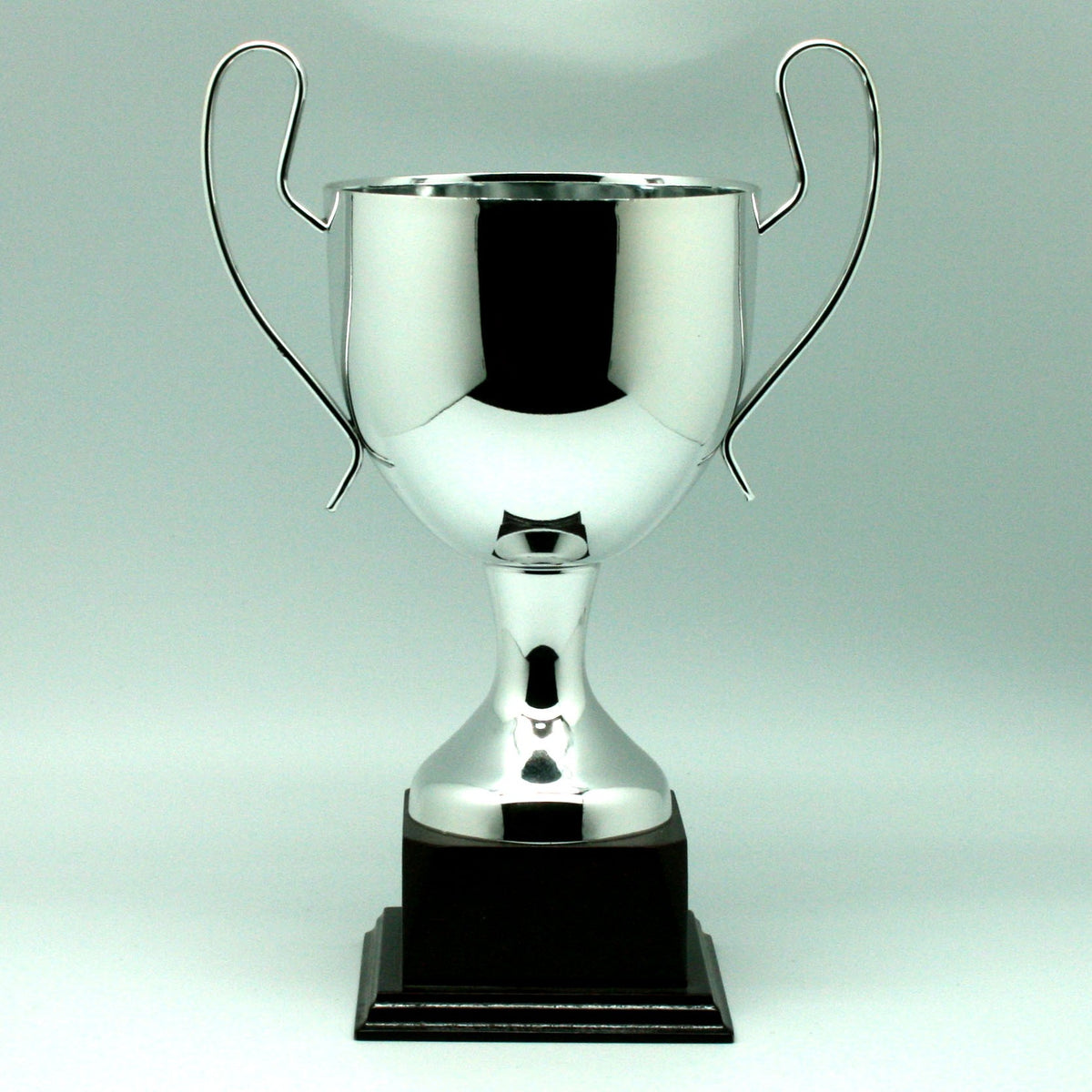 Trofeo Copa Campeón Simple