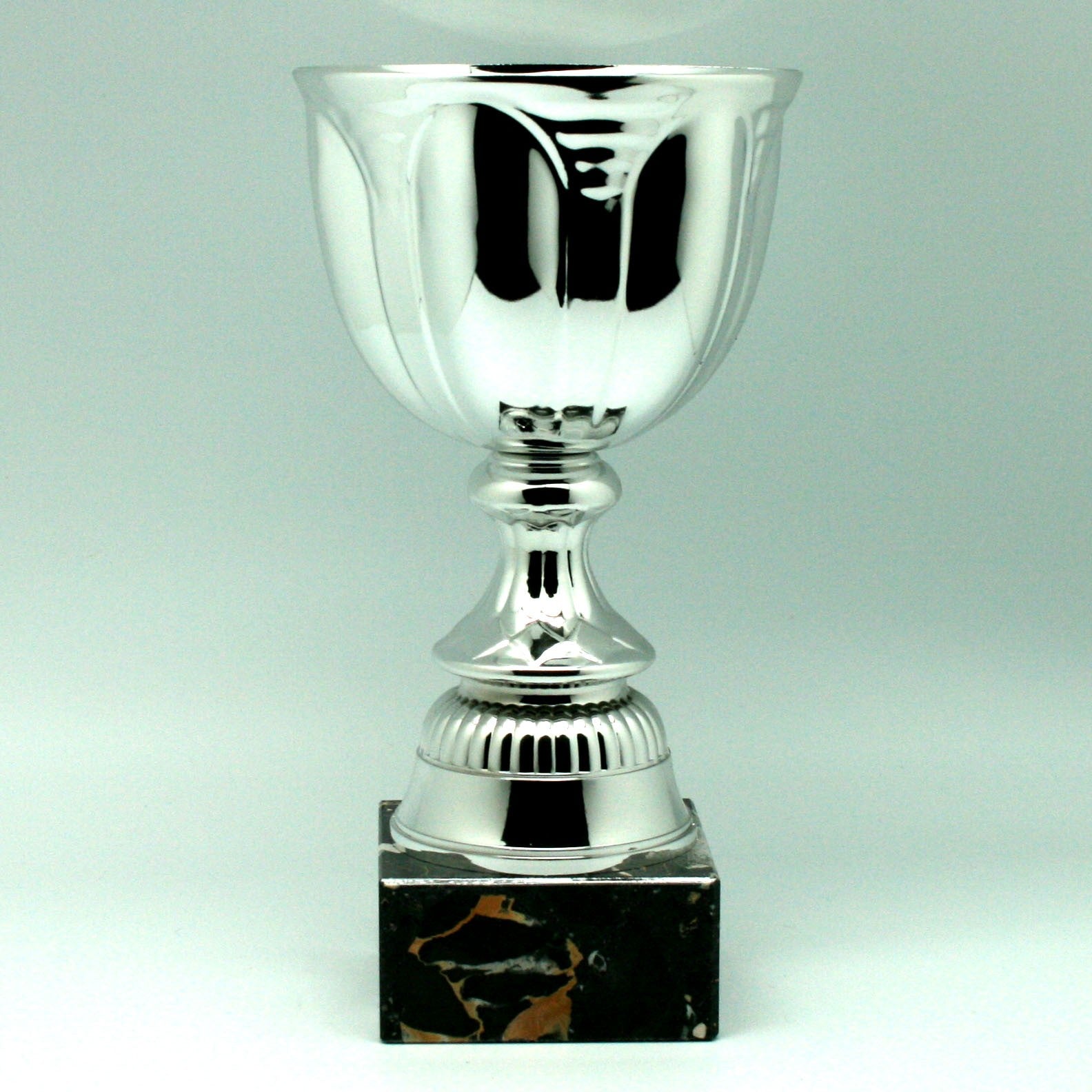 Trofeo Copa Plata Cáliz