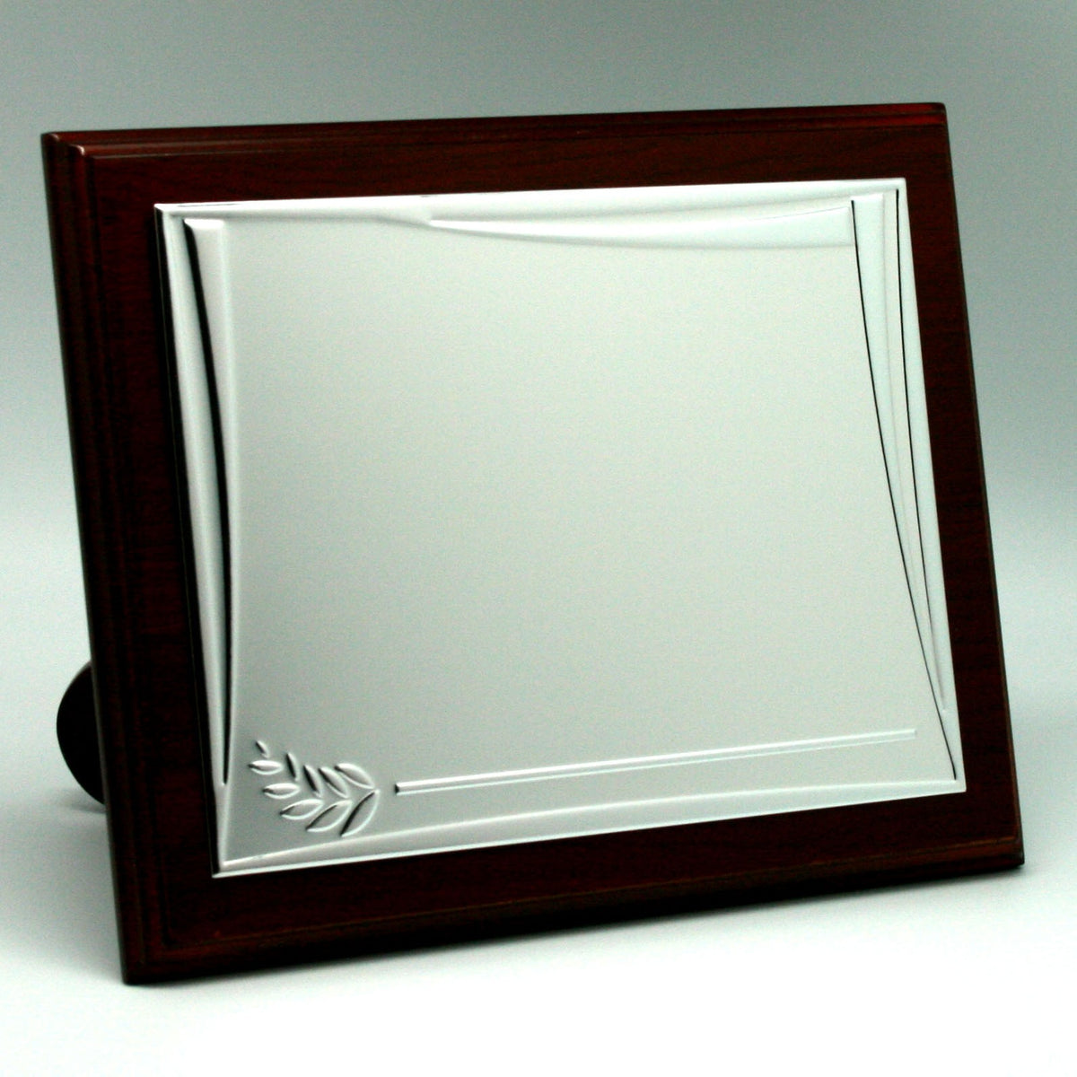 Placa Plata