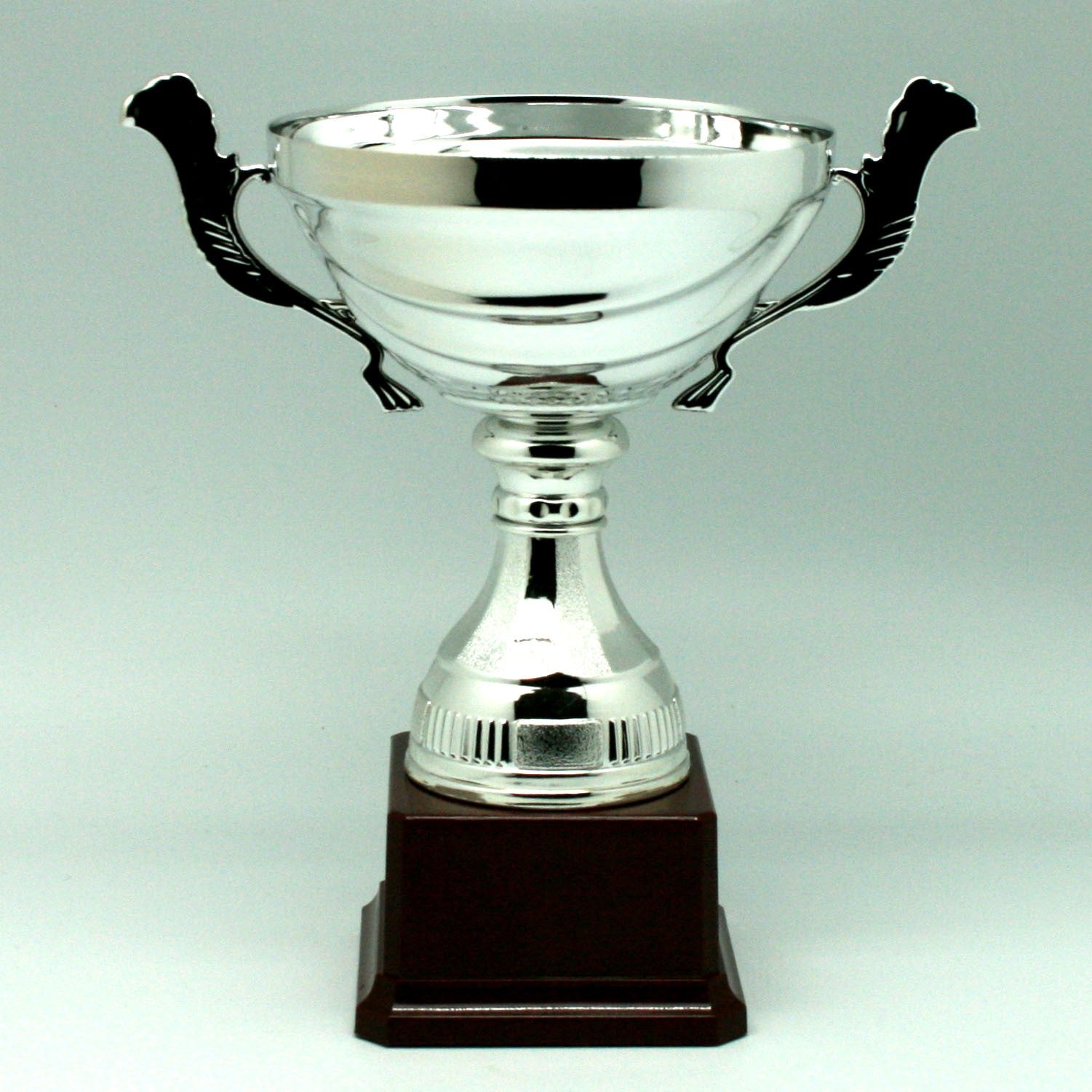 Trofeo Copa de Plata con Asas