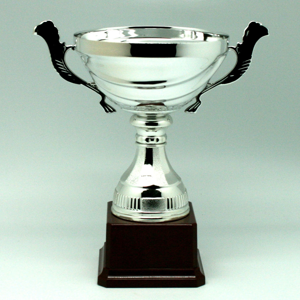 Trofeo Copa de Plata con Asas