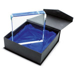 Trofeo de cristal Bronson